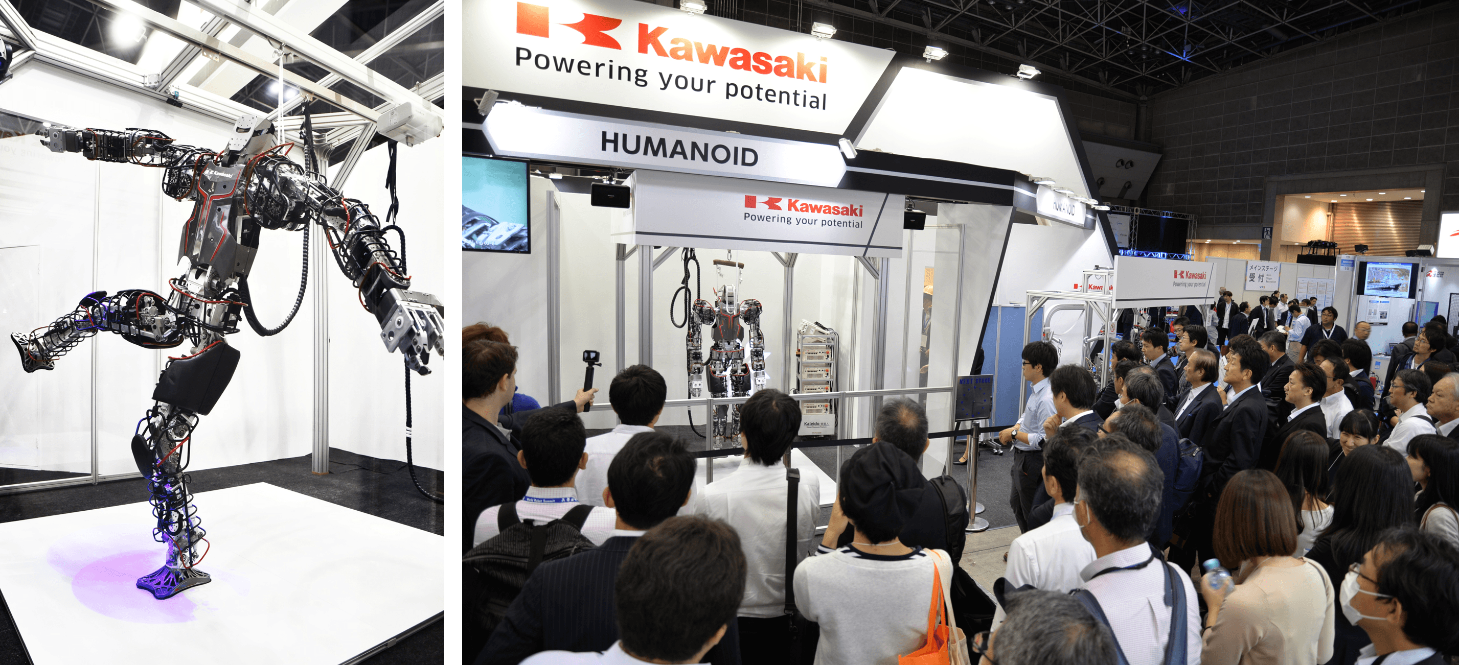 iREX 2017